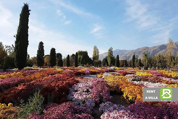 مکان های دیدنی تهران در فصل بهار