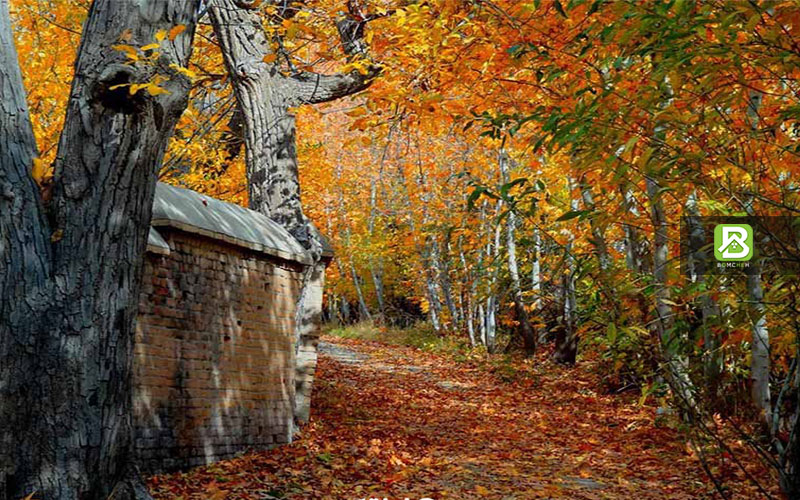 شهریار کجاست